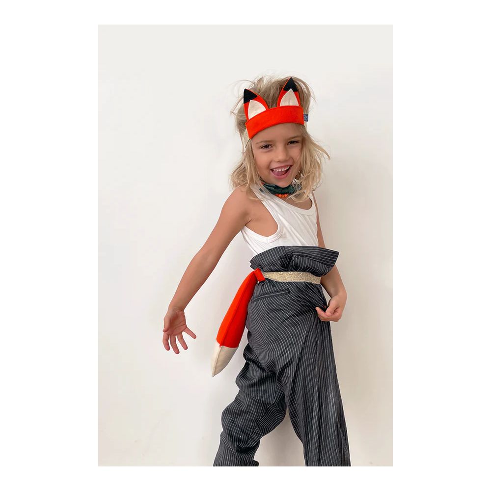 DEGUISEMENT RENARD