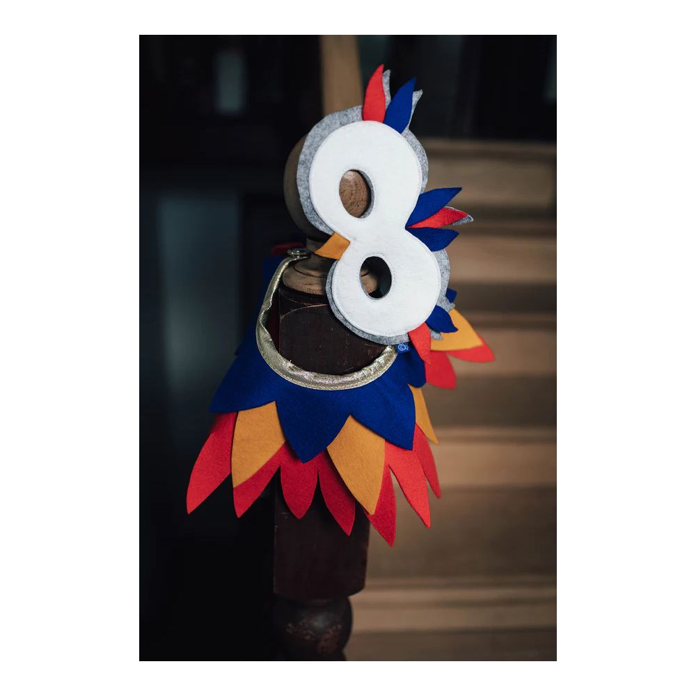 DEGUISEMENT HIBOU