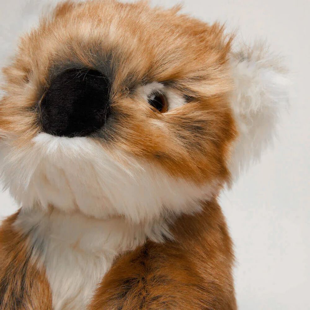 KOALA FELICIEN ASSIS 30 CM -La Pelucherie