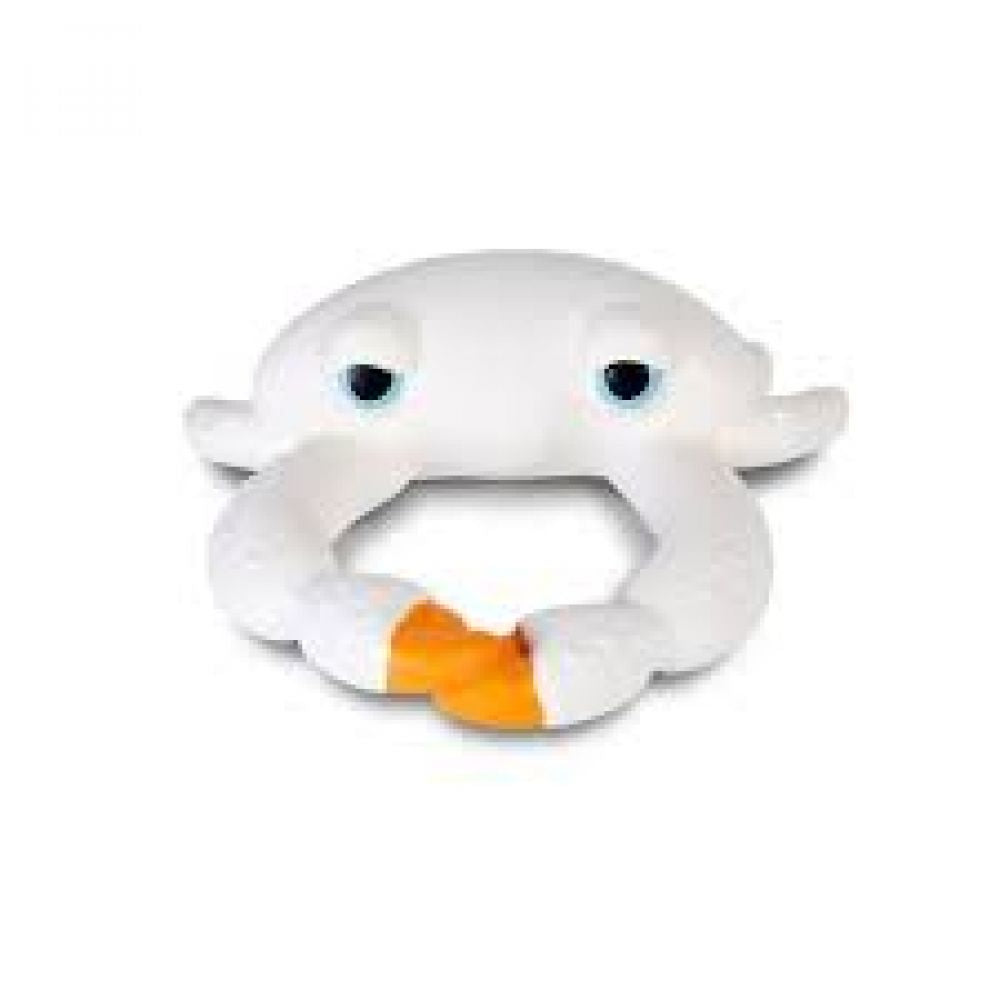 SHARON LE CRAB -Oli Et Carol