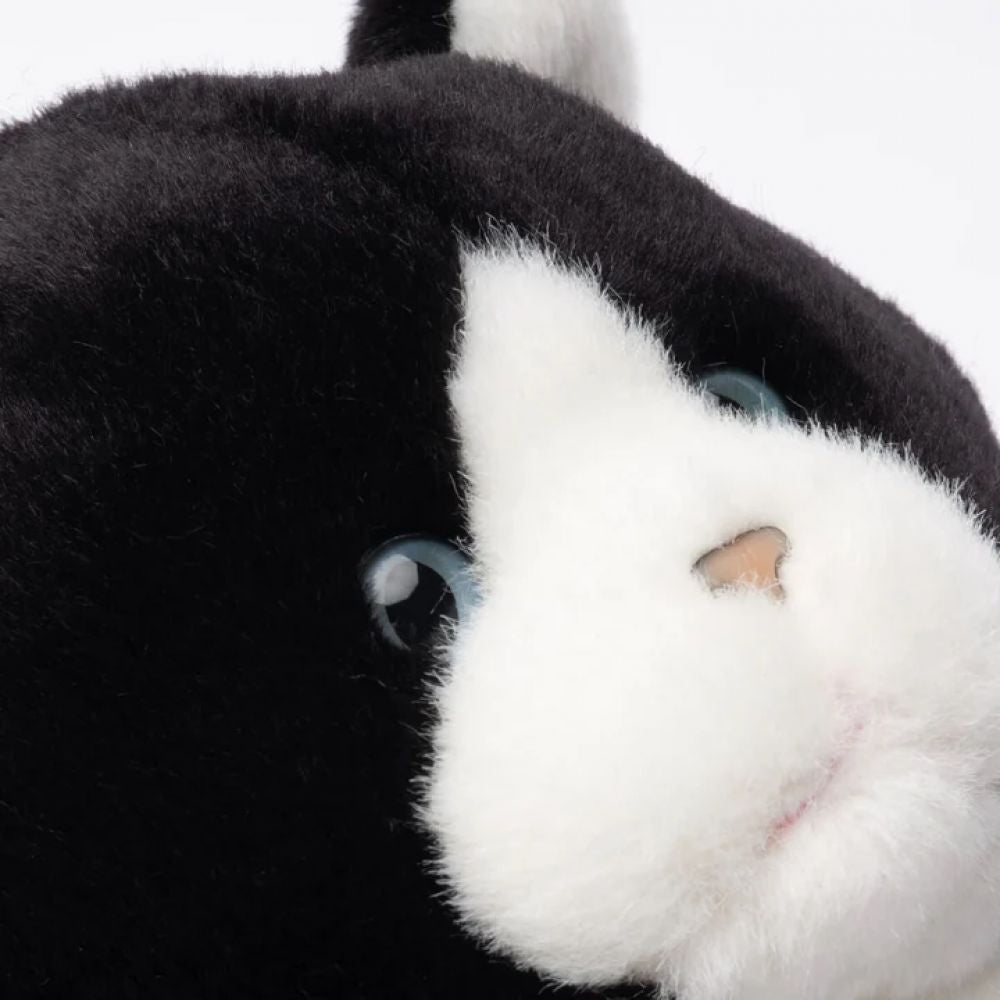 MA PELUCHE ROODOODOO LE CHAT CHACHA 25 CM
