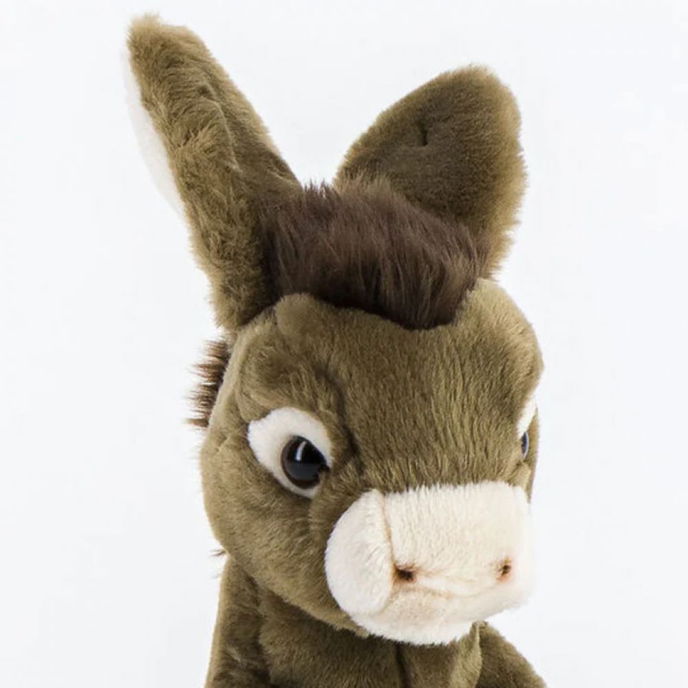 ANE GASTON ASSIS 35 CM -La Pelucherie