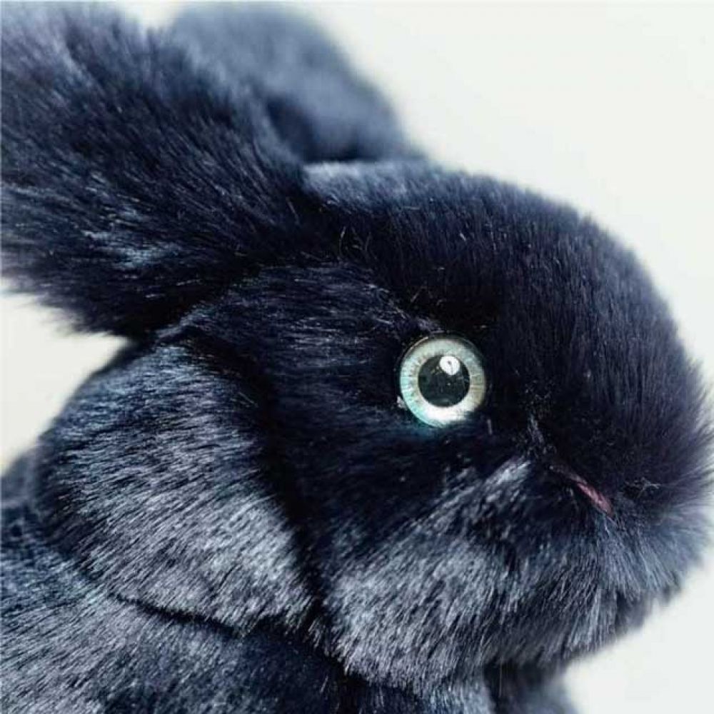 LA PELUCHERIE - LAPIN LEON ASSIS MARINE 15 CM
