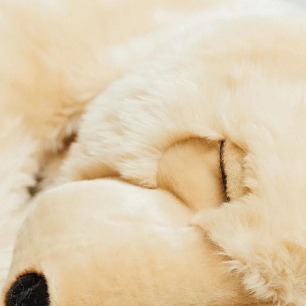 OURS LUCIEN DORMEUR MIEL 65 CM -La Pelucherie