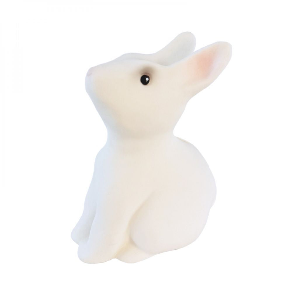 EGMONT - TIRELIRE LAPIN